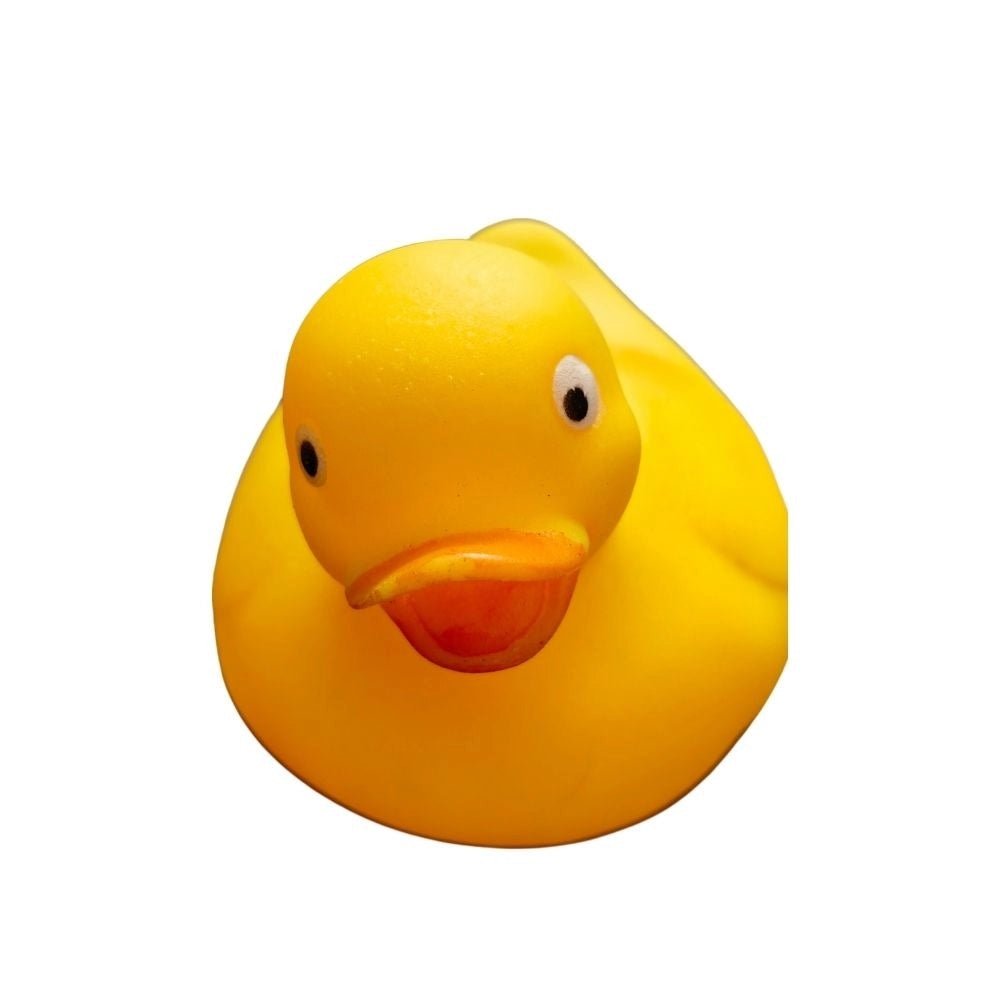 Lamp-Kitten-Duck-Bear Mixed Chu Chu Toys | Rubber | Toys | 6+ Months - Image 3