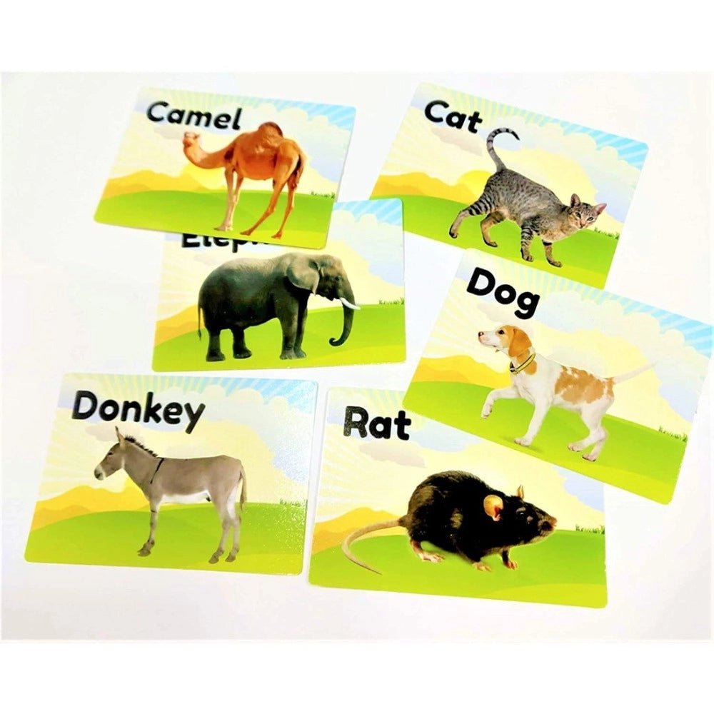 Flash Card-Animal | Plastic | Educational Toys | 6+ Months - Image 2