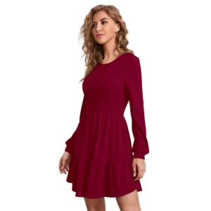 Knitting stretchable Solid Round Neck Full Sleeve Dress (Maroon)