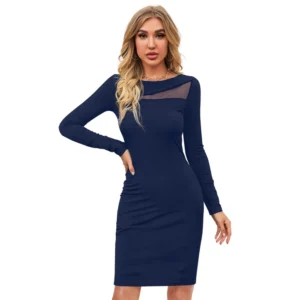 Knitting stretchable Solid Round Neck Full Sleeve Dress (Blue )