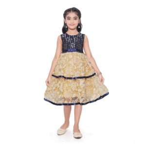 Girl's Fancy Net Net Sleeve Less Round Neck Dress (Blue)