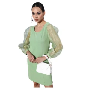 Organza And Polyester Lycra Solid Long Sleeves Dress (Green)